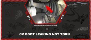 5 Hidden Causes Of CV Boot Leaking Not Torn With。